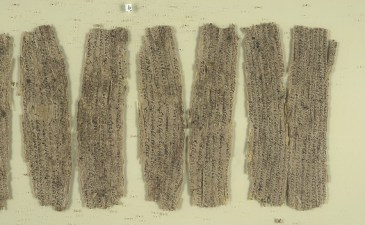 12458967023_b1f519a1cb_z